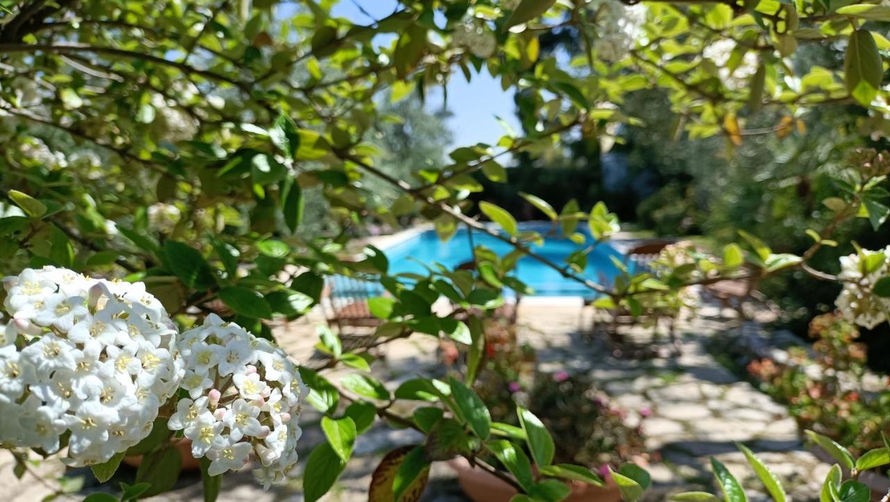 Agriturismo Le Vedute Μπισέλιε Εξωτερικό φωτογραφία