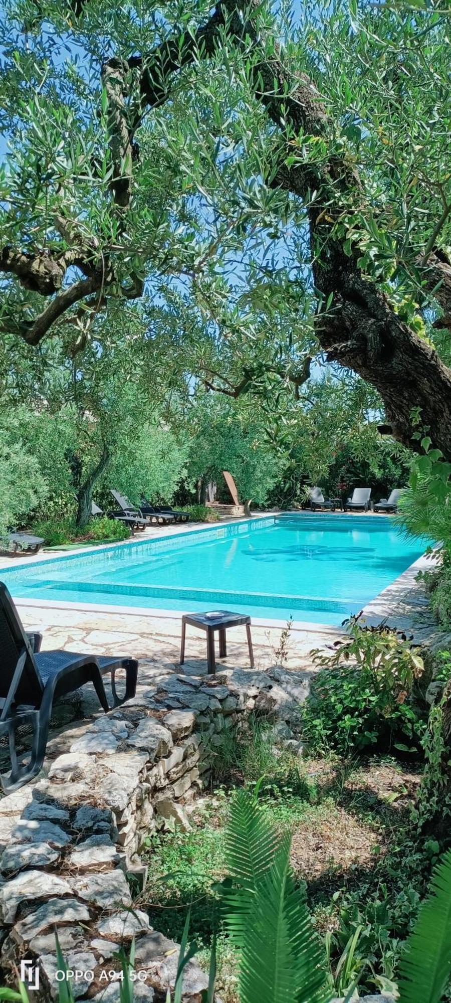 Agriturismo Le Vedute Μπισέλιε Εξωτερικό φωτογραφία