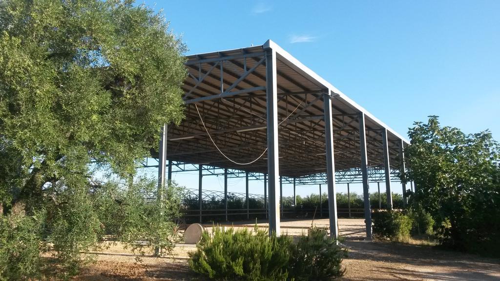 Agriturismo Le Vedute Μπισέλιε Εξωτερικό φωτογραφία