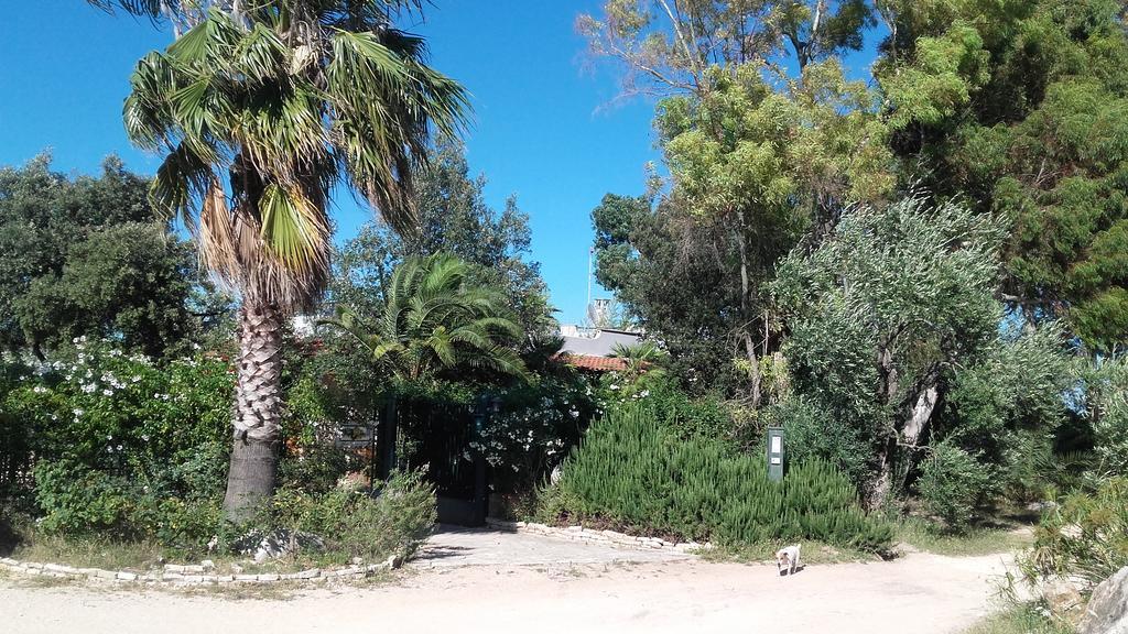 Agriturismo Le Vedute Μπισέλιε Εξωτερικό φωτογραφία