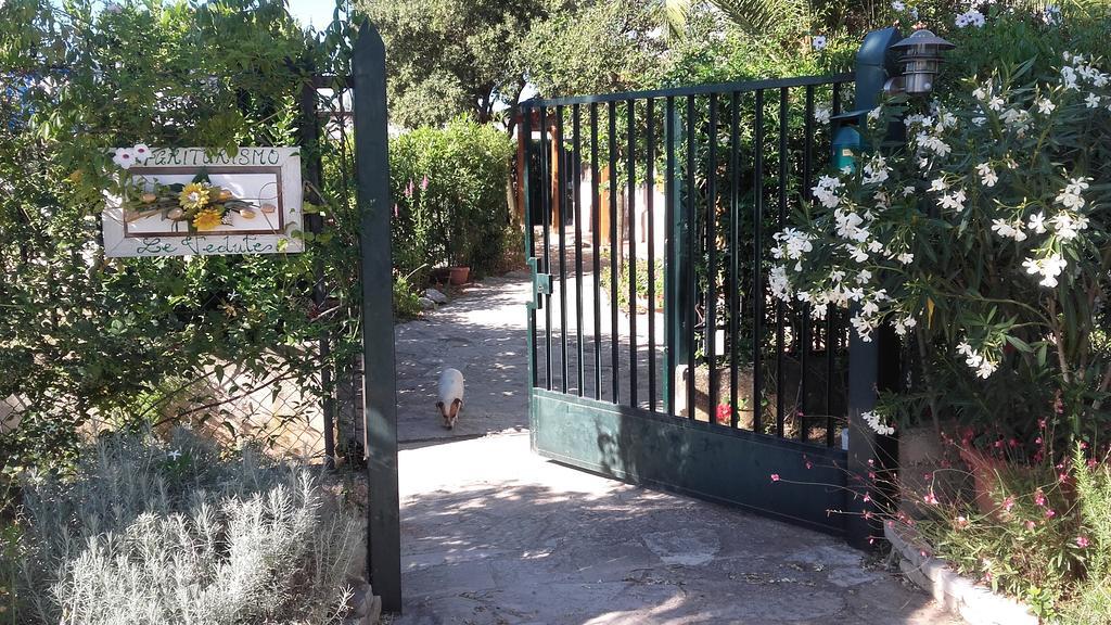 Agriturismo Le Vedute Μπισέλιε Εξωτερικό φωτογραφία